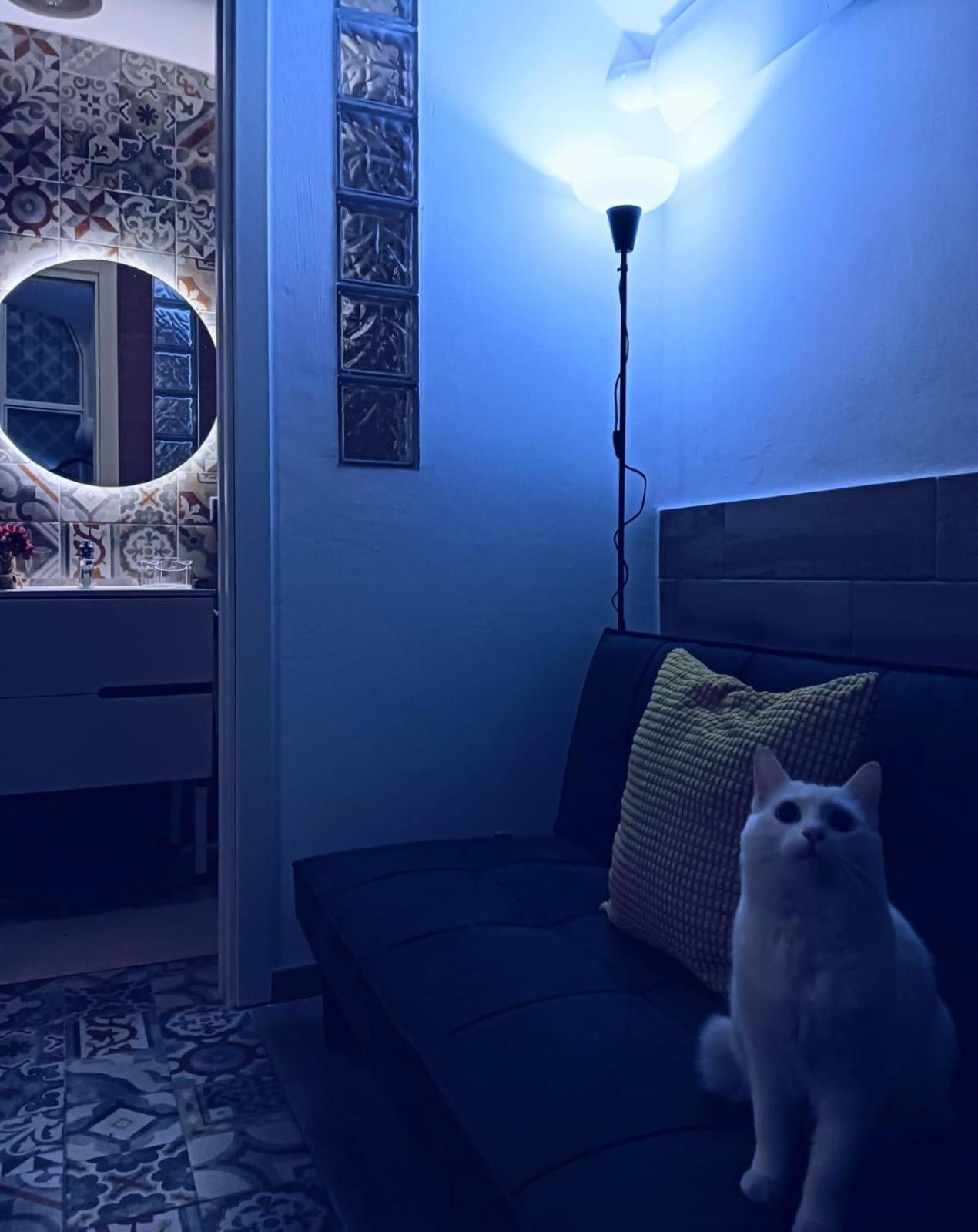 Villa The White Cat Nápoles Exterior foto